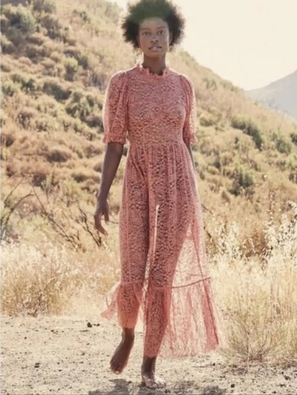 Doen Feather Sheer Rose Lace Maxi Dress